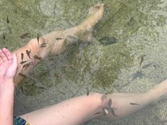 -三江森林温泉度假区