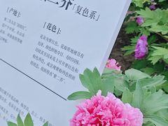 -太阳宫公园