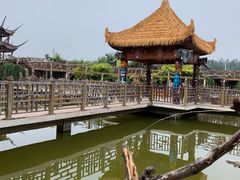 -呀路古热带植物园