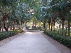 -宋井风景区