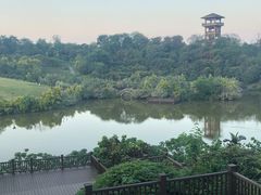 -张坝桂圆林公园
