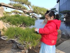 -罗红摄影艺术馆