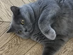 -Me Coffee下午茶艺术空间