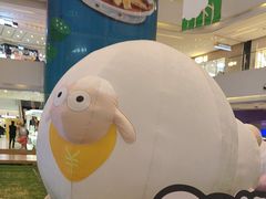 -阳光天地