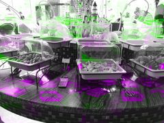 -佰园全日西餐厅-厦门佰翔软件园酒店