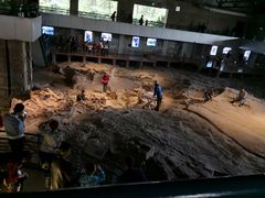 -自贡恐龙博物馆