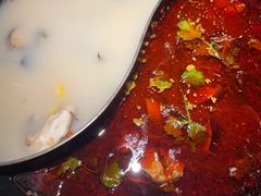 -新辣道鱼火锅(西直门店)