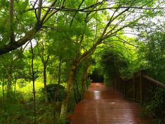 -张坝桂圆林公园