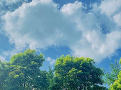 -娄山关景区