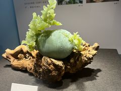 -大连自然博物馆·地球展厅