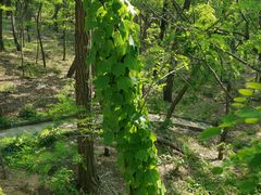 -南戴河国际娱乐中心