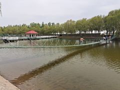 -恩格贝生态旅游区