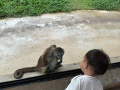 -杭州野生动物世界