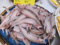 -必点海鲜·海肠捞饭·鲅鱼水饺(滨江道店)