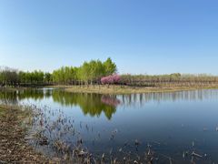 -东郊湿地公园