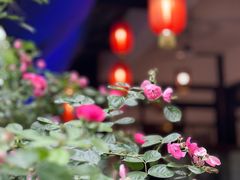 -庶民居中餐馆(花土店)