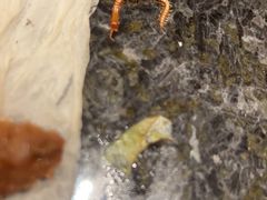 -东方之珠洗浴休闲广场(南开店)