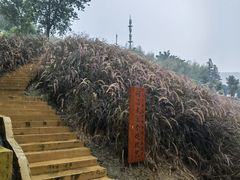 -瓷天下海丝谷