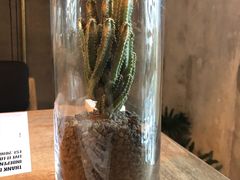 -三秋舍·梦幻岛(小西路店)