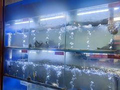 -石锅苗苗鱼(武汉首店)