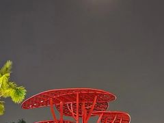 -若蘭慈·无国界素食料理(欢乐海岸店)