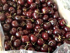 -西郊国际农产品交易中心