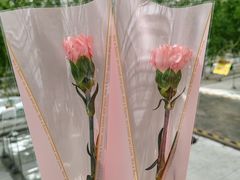 -上海鲜花港