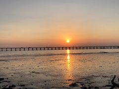 -宝安西湾红树林湿地公园