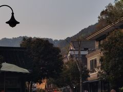 -龙井村