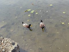 -丰台花园