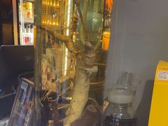 -记忆串城·东北烧烤·小龙虾·大型团建(南油店)