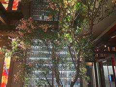 -星·South Beauty·俏江南(国贸店)