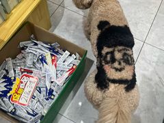 -喜洋洋宠物医院(震川路总店)