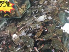 -福春大市场水产厅