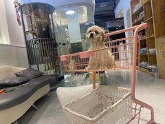 -萌宠主义宠物生活馆(金山路店)