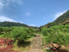 -广州市石门国家森林公园