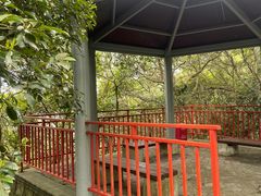-小南山公园