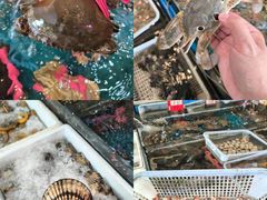-东江海鲜大排档·潮汕菜·砂锅粥