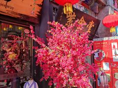 -古文化街旅游区