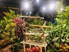 -深圳湾木棉花酒店