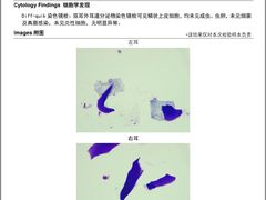 -泰洋动物医院·神经专科·磁共振·CT(天河公园总院)