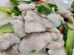 滑炒玉兰片-怡园饭店-餐厅(四望亭店)