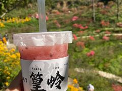 -篁岭景区