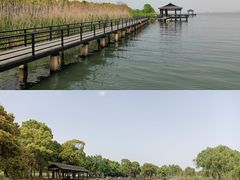 -莲花岛景区