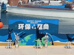 -秦皇岛乐岛海洋王国