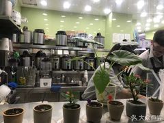 -茉沏(万科美好广场店)