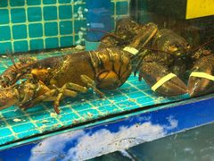 -坛南湾阿强农家乐.海鲜大排档老字号(福州地标美食店)
