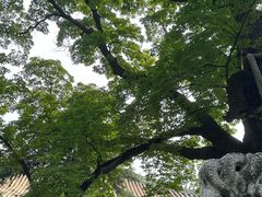 -潭柘寺景区