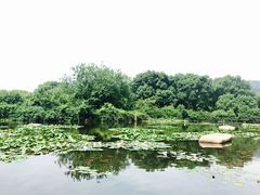 -白马涧龙池景区