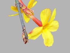 -孟记粥铺·家常菜·烧烤·粥(亚运村店)